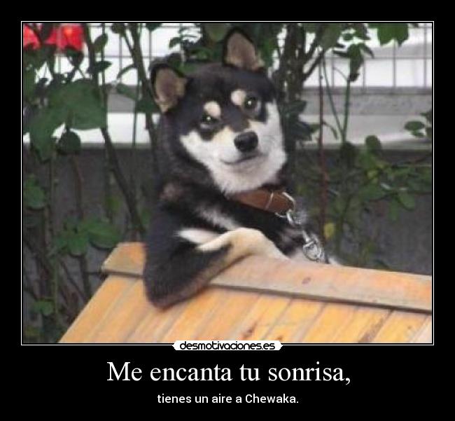 Me encanta tu sonrisa, -