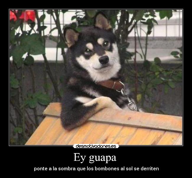 Ey guapa -