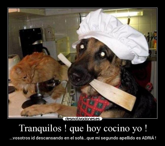 Tranquilos ! que hoy cocino yo ! - ...vosotros id descansando en el sofá...que mi segundo apellido es ADRIÁ !