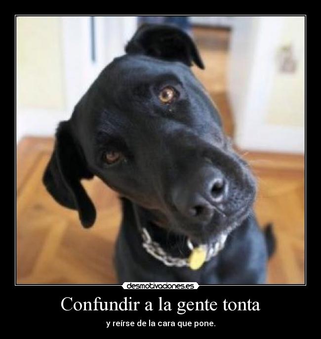 carteles confundir tonto desmotivaciones