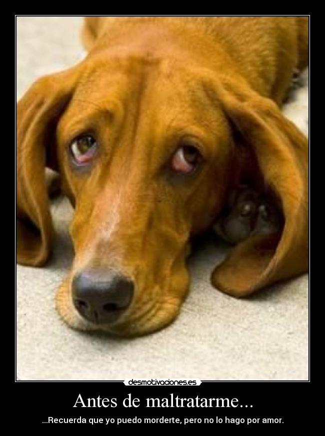 Antes de maltratarme... -