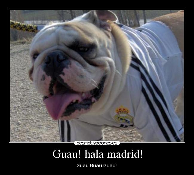 Guau! hala madrid! -