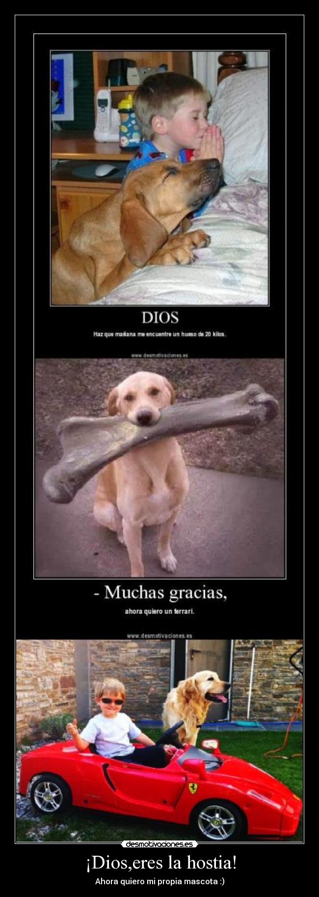 ¡Dios,eres la hostia! - Ahora quiero mi propia mascota :)