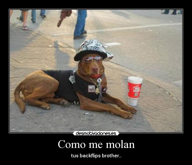 Como me molan -