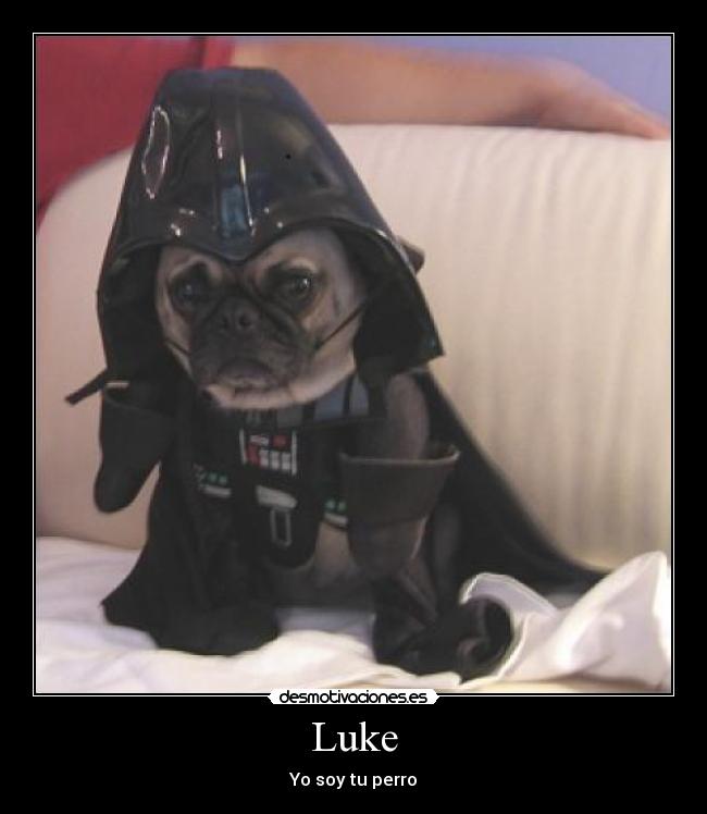Luke - 