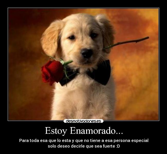 Estoy Enamorado... -