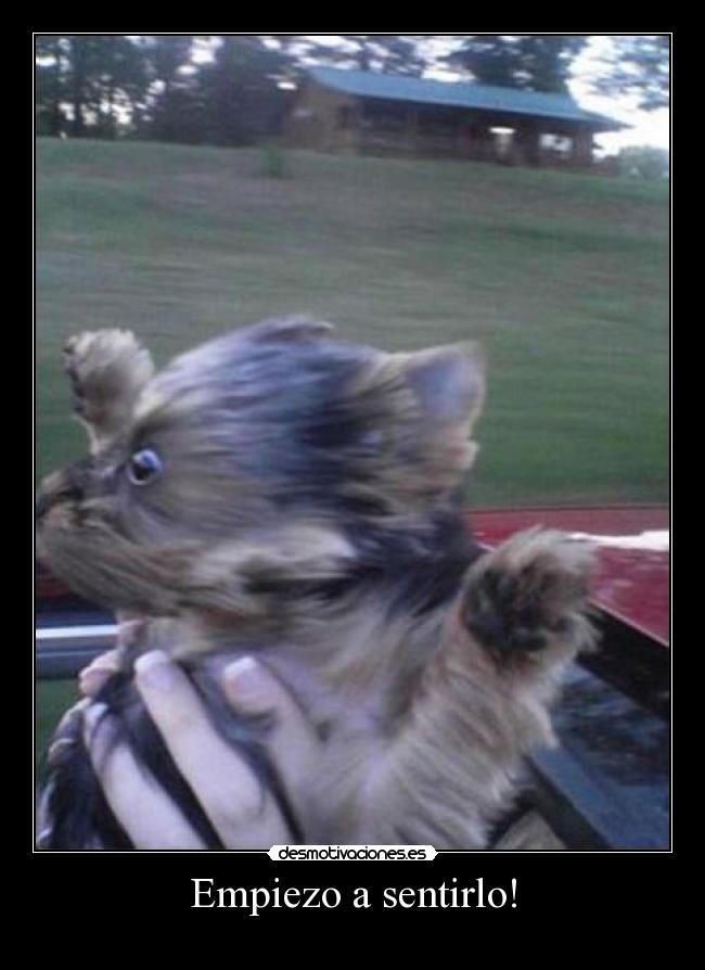Empiezo a sentirlo! - 