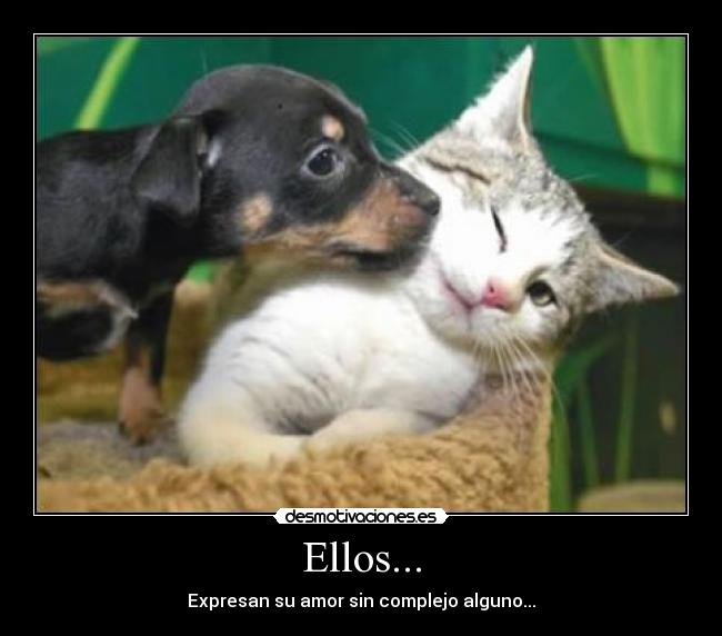 Ellos... -