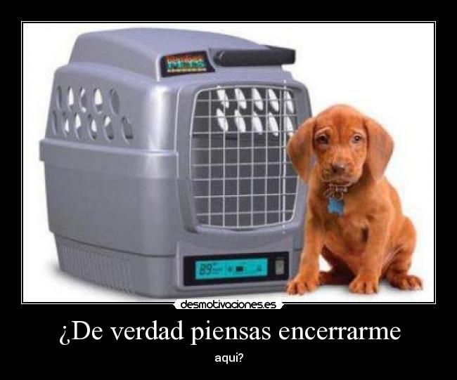 ¿De verdad piensas encerrarme - 