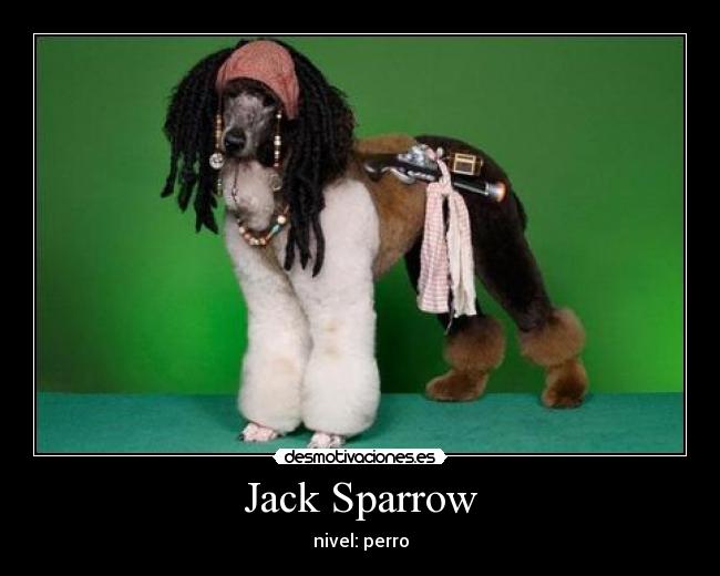 Jack Sparrow - nivel: perro