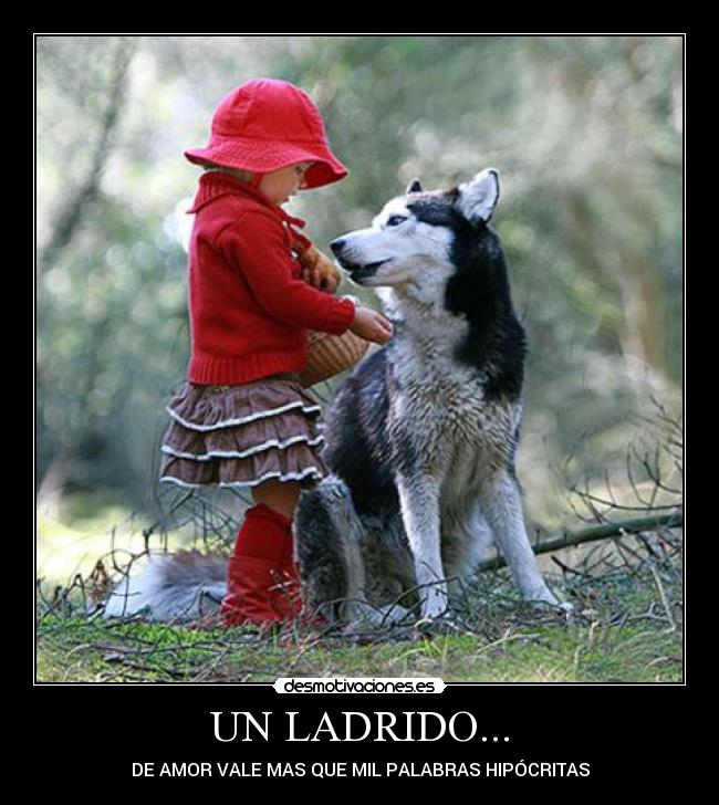 UN LADRIDO... - 