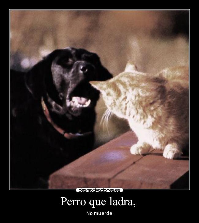 Perro que ladra, -