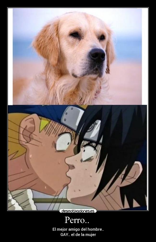 carteles perro desmotivaciones