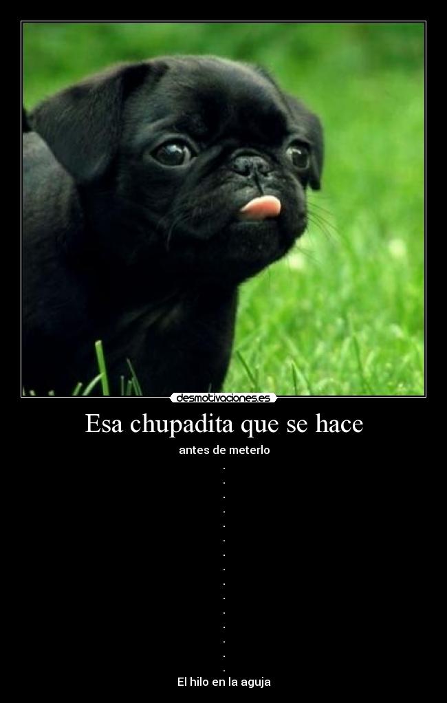 Esa chupadita que se hace - antes de meterlo
.
.
.
.
.
.
.
.
.
.
.
.
.
.
.
El hilo en la aguja