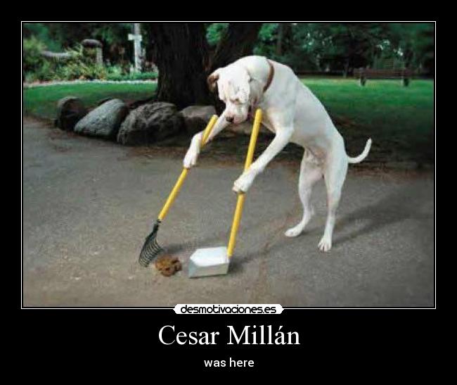 Cesar Millán -
