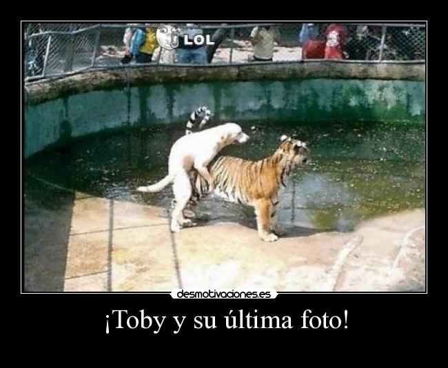 ¡Toby y su última foto! - 