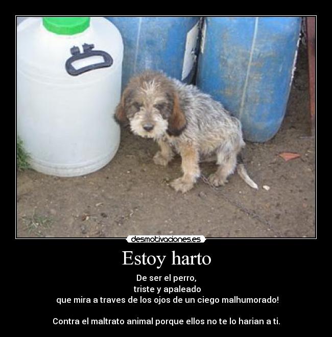 Estoy harto -