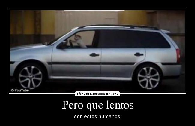 carteles perro que conduce desmotivaciones