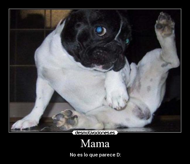 carteles miraunburrovolando desmotivaciones