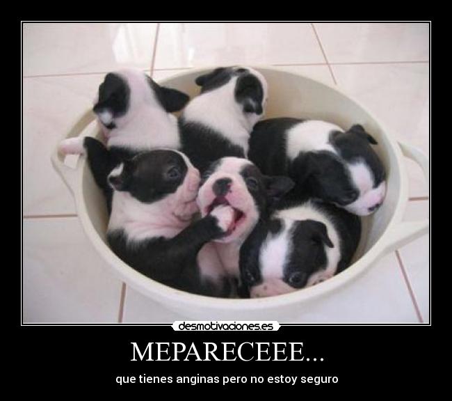 MEPARECEEE... -