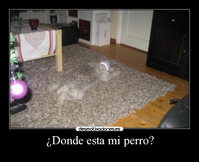 ¿Donde esta mi perro? - 