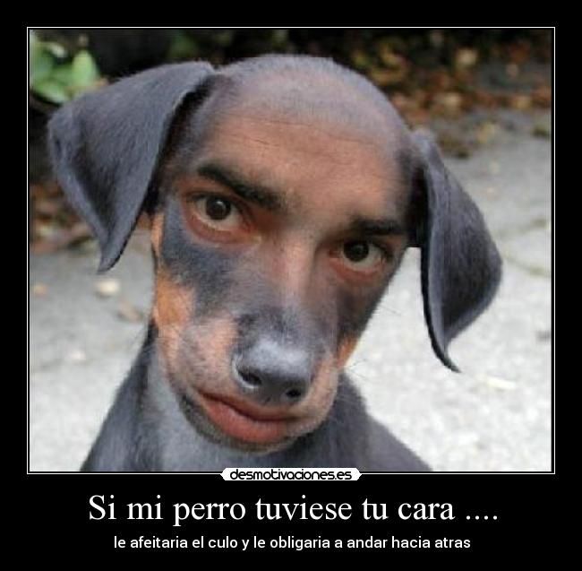 mi perro folla a mi mujer