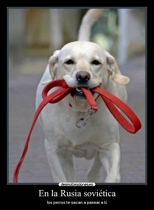 En la Rusia soviética -