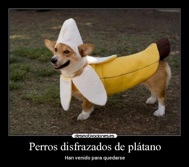 carteles xddddddddddddddddddddddddddddddddddddddddd desmotivaciones