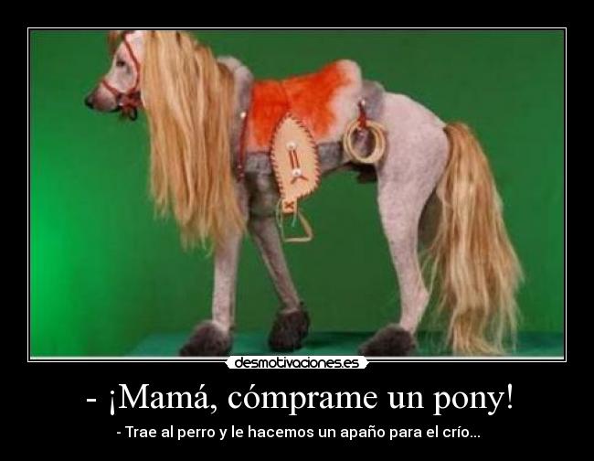 - ¡Mamá, cómprame un pony! - - Trae al perro y le hacemos un apaño para el crío...