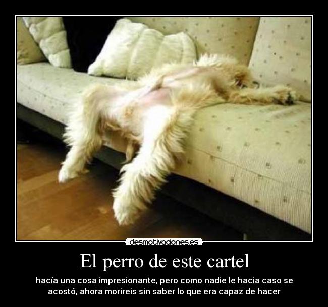 El perro de este cartel - 