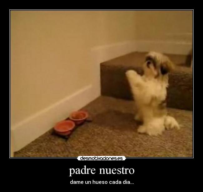 padre nuestro - dame un hueso cada dia...