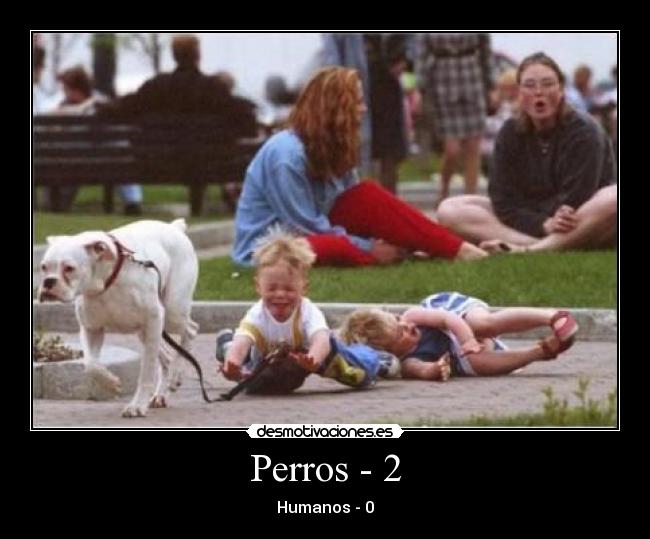 carteles perros humanos desmotivaciones