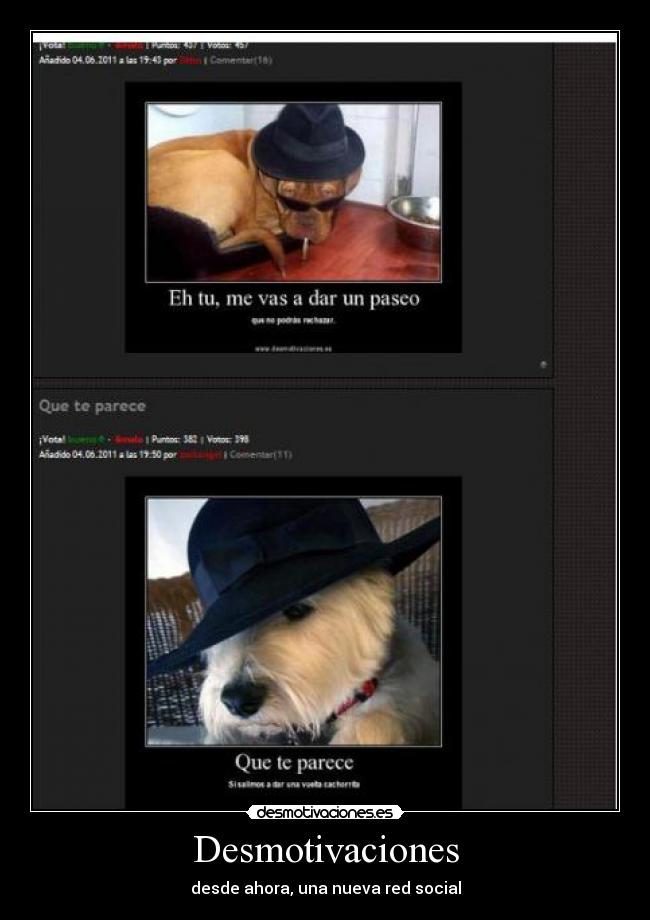 Desmotivaciones - desde ahora, una nueva red social