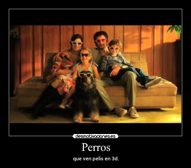 Perros - que ven pelis en 3d.