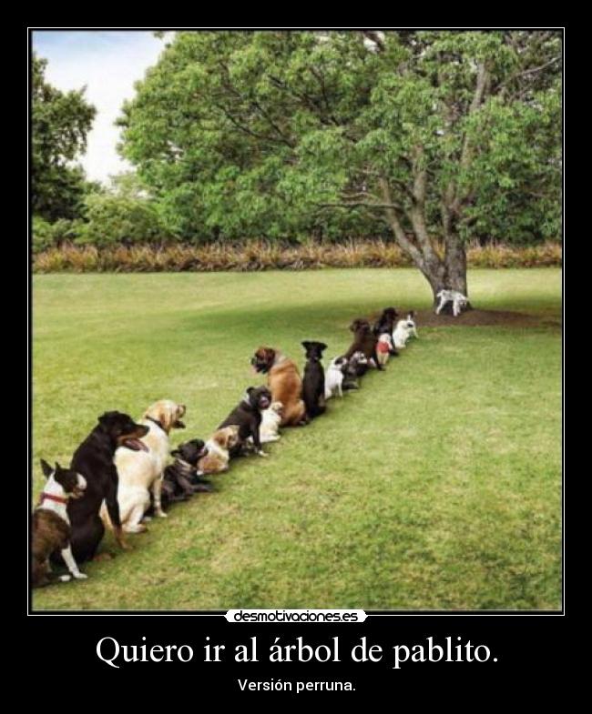Quiero ir al árbol de pablito. -