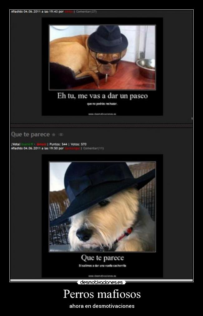 Perros mafiosos -