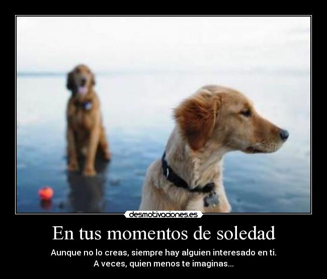 En tus momentos de soledad -