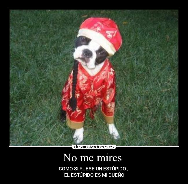 No me mires  - 