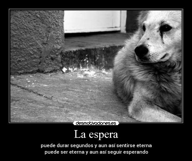 La espera - 