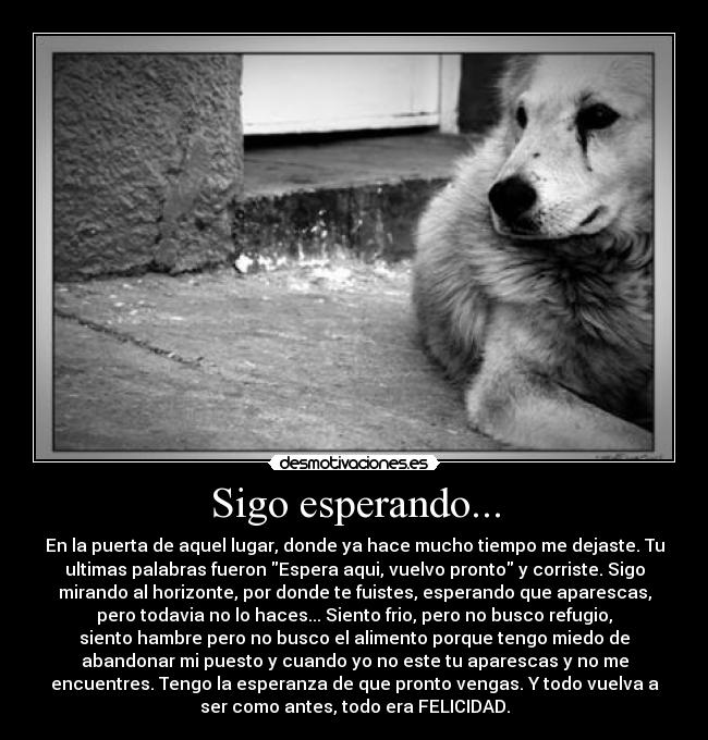 Sigo esperando... - 