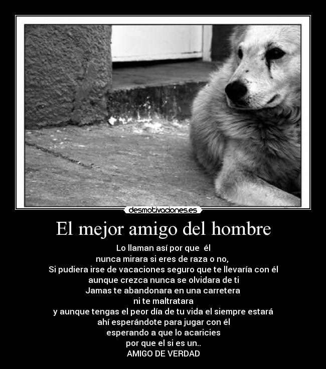 carteles cely_1997 desmotivaciones