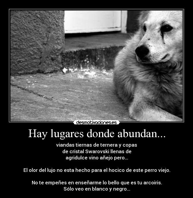 Hay lugares donde abundan... -