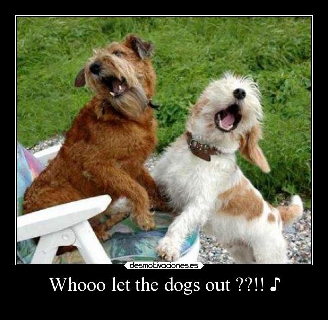 Whooo let the dogs out ??!! ♪ - 