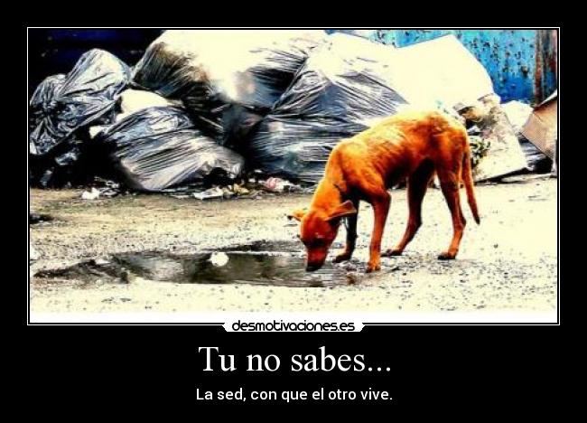 Tu no sabes... -