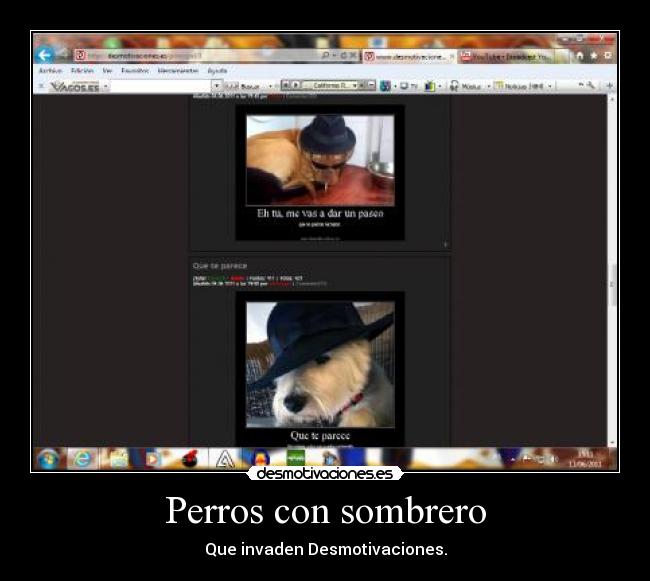 Perros con sombrero - Que invaden Desmotivaciones.