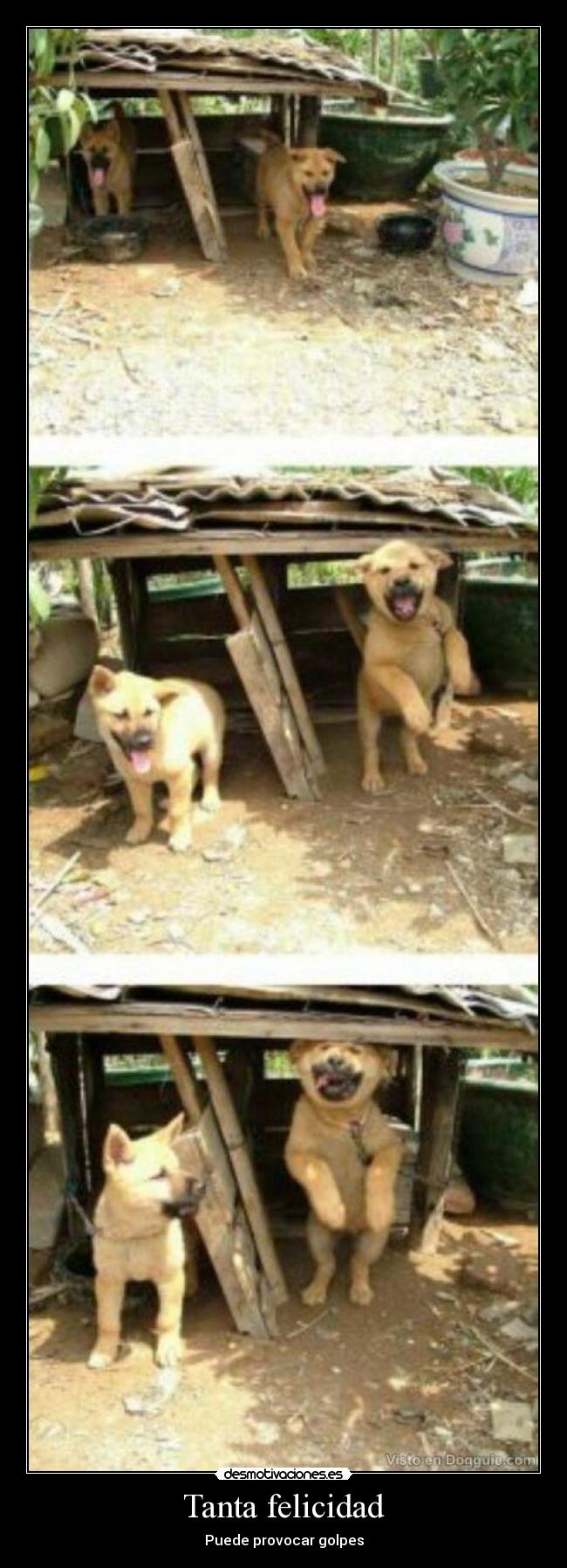 carteles felicidad perrofail desmotivaciones