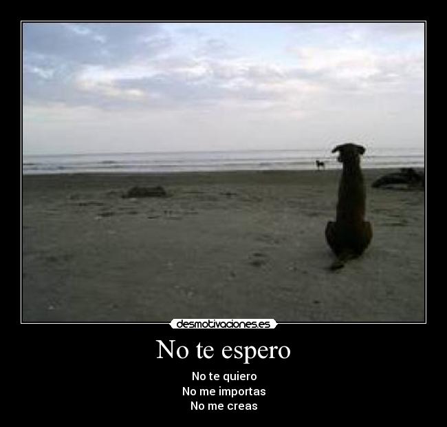 No te espero -
