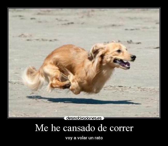 Me he cansado de correr -