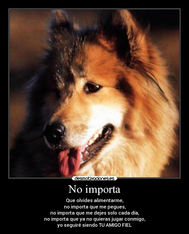 No importa - Que olvides alimentarme,
no importa que me pegues,
no importa que me dejes solo cada día,
no importa que ya no quieras jugar conmigo,
yo seguiré siendo TU AMIGO FIEL