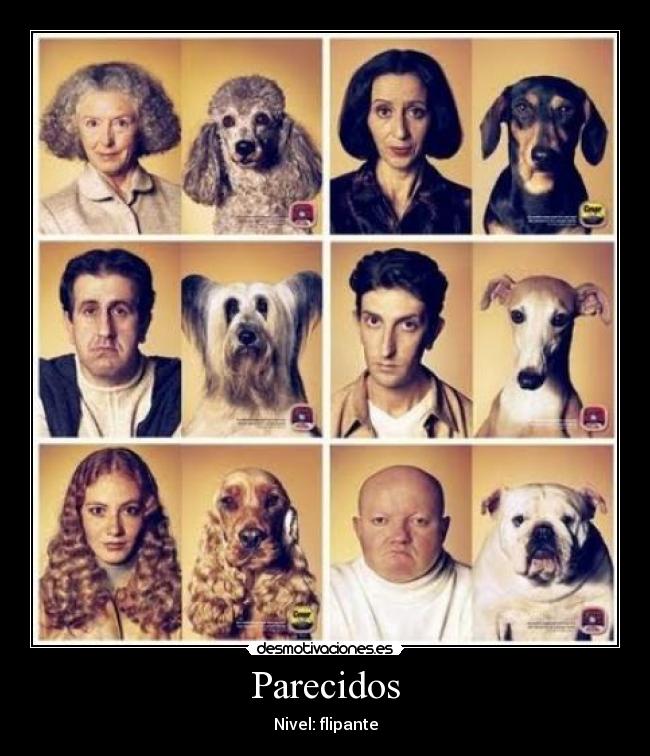 Parecidos - Nivel: flipante